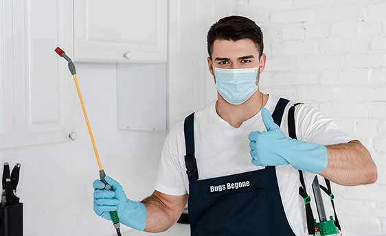 Bugs Begone pest control solutions